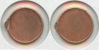 USA Penny Lincoln Memorial 1c No Date Off Center Blank Planchet Error Coin - SR751 -