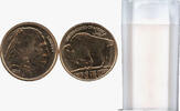 Anlagemünzen Medal Native American Indian + Bison Buffalo (20) Roll 999 Copper 1 oz L180 -