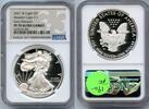 Anlagemünzen  2021-W American Silver Proof Eagle NGC PF70 Early Releases... 145.20 £  +  17.09 £ shipping
