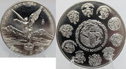 Weltmünzen Mexico Libertad 2oz Onzas .999 Silver Coin Moneda Plata - RK314  2004 