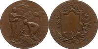 Frankreich, 3. Republik Bronzemedaille Landwirtschaftliche Preismedaille Société des Agriculteurs de la Somme -