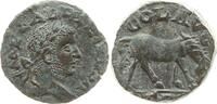 Römische Provinzen, Troas, Alexandria Ae-20 Gallienus, IMP GALLIENVS A / COL AVG / TRO, grasendes Pferd n.r. -