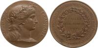 Frankreich, 3. Republik, Seine et Marne Bronzemedaille Le Plessiers-Rozainvillers, v. Dupuis, Prämie für Landwirtschaft und Industrie -