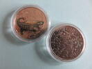 &Ouml;sterreich / Austria 3 Euro 2020 3 Euro color glow in the dark . Dinosau... 14.99 &pound;  +  12.85 &pound; shipping