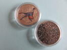 &Ouml;sterreich / Austria 3 Euro 2022 3 Euro color glow in the dark . Dinosau... 10.71 &pound;  +  12.85 &pound; shipping