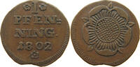 LIPPE DETMOLD PFENNIG -