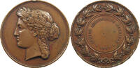 FRANCE MEDAL COMICE AGRICOLE DE MUSSIDAN -