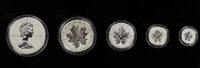 Kanada Royal Canadian Mint - Silver Maple Leaf Fractional Set Kursmünzsatz 2013 PP, in Originalverpackung