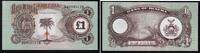 Biafra 1 Pound Banknote - Biafra - 1 Pound - Palme - Sonne - Wappen -