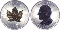 Kanada 5 Dollars 2024 Maple Leaf - 1 Silberunze mit 24-karätiger Teilver... 51.97 £  +  17.30 £ shipping