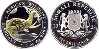 Somalia 100 Shillings 2023 Elefantenkopf - 1 Silberunze mit 24-karätiger... 51.97 £  +  17.30 £ shipping