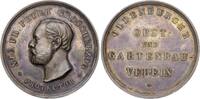 Oldenburg Silbermedaille Nicolaus Friedrich Peter 1853-1900. -