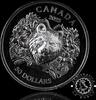 Canada 50 DOLLARS – 2 Silver Ounces – Heraldic Bear 50 DOLLARS 2025 Proof