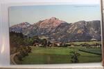 AK Bad Reichenhall Alpengarten ungebraucht -