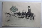 AK Laghouat Algerien En attendant le départ d'une caracane 1907 gebraucht -