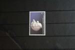 Kosovo Kosovo 63 postfrisch MiNr. 63 postfrisch -