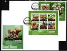 Guinea Bissau Guinea Bissau 10167-10171, Block 1750 gestempelt Kleinbogen als FDC MiNr. 10167-10171, Block 1750 gestempelt Kleinbogen als FDC -
