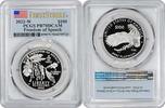 US One Hundred Dollar 2022-W $100 American Platinum Eagle PR70DCAM First Strike PCGS First Strike / Early Releases -
