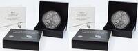 US Quarter 2017-P 5 oz Silver Burnished Ellis Island National Park Quarter Choice BU Uncertified None -