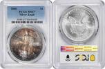 US Dollar 2000 $1 American Silver Eagle MS67 PCGS Toned Tan w/ Purple and Steel Blue None -
