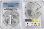US Dollar 2025 $1 American Silver Eagle MS70 PCGS None -