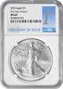 US Dollar 2025 $1 American Silver Eagle MS69 First Day of Issue NGC First Day of Issue -