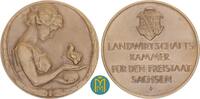 Sachsen Dresden Stadt Bronzemedaille von Friedrich Wilhelm Hörnlein Prei... 342.45 £  +  13.00 £ shipping