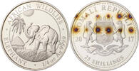Somalia 25 Shilling African Wildlife - Elefant, 1/4 Unze Ag -