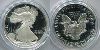 USA 1 Dollar ~ American Eagle ~ -