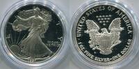 USA 1 Dollar ~ American Eagle ~ -