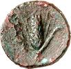 ITALIEN AE METAPONTION (Metaponto). dunkelbraune Patina ss / s 39.88 £  +  8.67 £ shipping