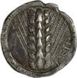 MAGNA GRAECIA AR Nomos c. 510-470 B.C. Lucania - City of Metapontion GVF