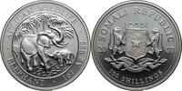 Somalia 100 shillings Elephant, 1 oz silver, scarce -