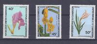 Cameroun Lot de timbres CAMEROON - 3 STAMPS - 40, 45 ET 50 FRANCS - FLOWERS -