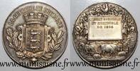 France MEDAL - AGRICULTURE - LA GUERCHE DE BRETAGNE - AGRICULTURAL AND HORTICULTURAL ASSOCIATION - 1894 -