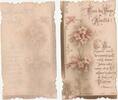 France Pious IMAGE - ALL THE WISHES OF FRIENDSHIP -