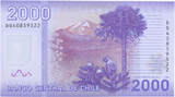 Chile  2000 Pesos Manuel Rodriguez - National parc of Nalcas - 2014 Polymer - Serial DG UNC