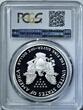 USA 2007-W Proof Silver American Eagle PCGS PR-69 DCAM