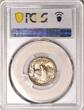 "Cherrypickers" Varieties, "Cherryp Buffalo Nickel /D PCGS MS-67