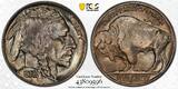 "Cherrypickers" Varieties, "Cherryp Buffalo Nickel /D PCGS MS-67