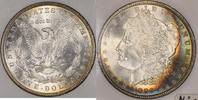 USA Morgan Dollar -