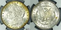 USA 1889 Morgan Dollar NGC MS-64; Nice Original 126.58 £  +  11.91 £ shipping