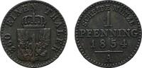 Brandenburg-Preußen Cu Pfennig Friedrich Wilhelm IV. 1840-1861 -