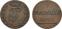 Cu Pfennig 1825 Schwarzburg-Rudolstadt Friedrich Günther 1807-1867 Winz. Schrötlingsfehler, sehr schön +