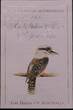 AUSTRALIA, KM P1 , Silver, 10 Dollars , 1989, Proof, Kookaburas. Silver Piefort. Double Thickness. Weight: 40 grams. Nice coin i