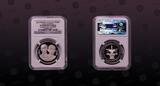 THAILAND, Y# 312 , Silver, 600 Baht , BE2538-1995, Proof, Audit Council. One of Thai modern rarties in Superb Gem Proof conditio