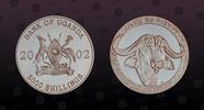 UGANDA 5000 Shillings UGANDA , KM# 89 , Silver, 5000 Shillings, 2002, Proof, The Big Five - Cape Buffalo. Very scarce and popular type! Coin in excell -