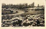 Deutschland Ansichtskarte Berlin 1944 Sommerblumen am Funkturm leicht be... 2.60 £  +  17.34 £ shipping