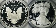US Silver Eagle Silver Eagles -