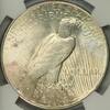 US Peace Dollar Peace Dollar -
